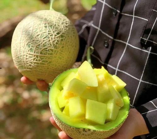 娱乐吃瓜壁纸图片高清